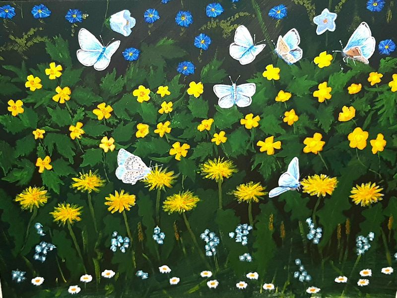 Adonis Blue Butterfly (Original Artwork) Adonis Blue Butterfly (Original Artwork)