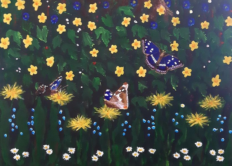 Purple Emperor Butterfly (Print) Purple Emperor Butterfly (Print)