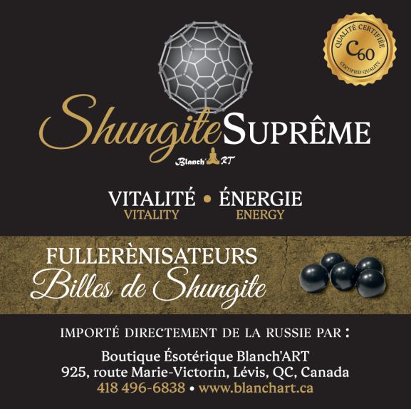 FULLERENISATEUR SHUNGITE SUPRÊME 100 BILLES