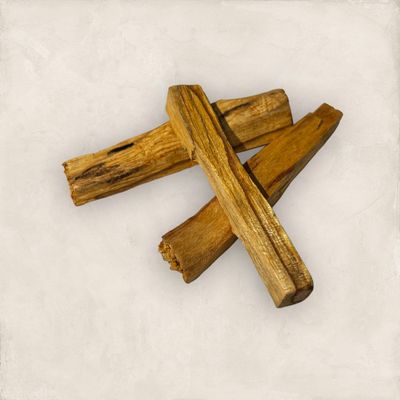 PALO SANTO - PAQUET DE 3 BÂTONS