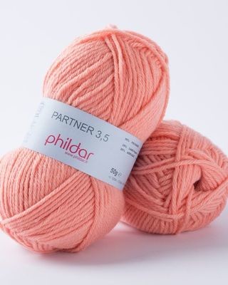 Partner 3,5 111 Saumon