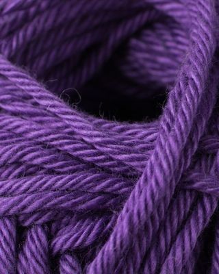 Phil Coton 4 Violet