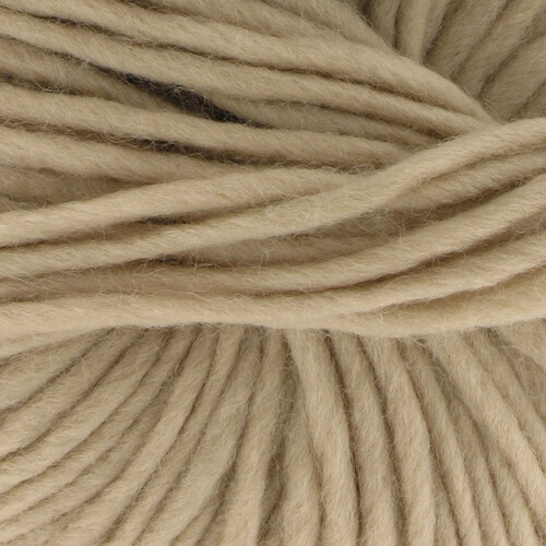 Norte 8 camel