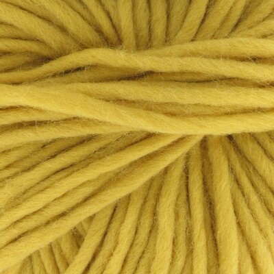 Norte 14 Jean Mortarde