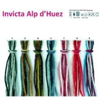 Invicta Alp d'Huez 04