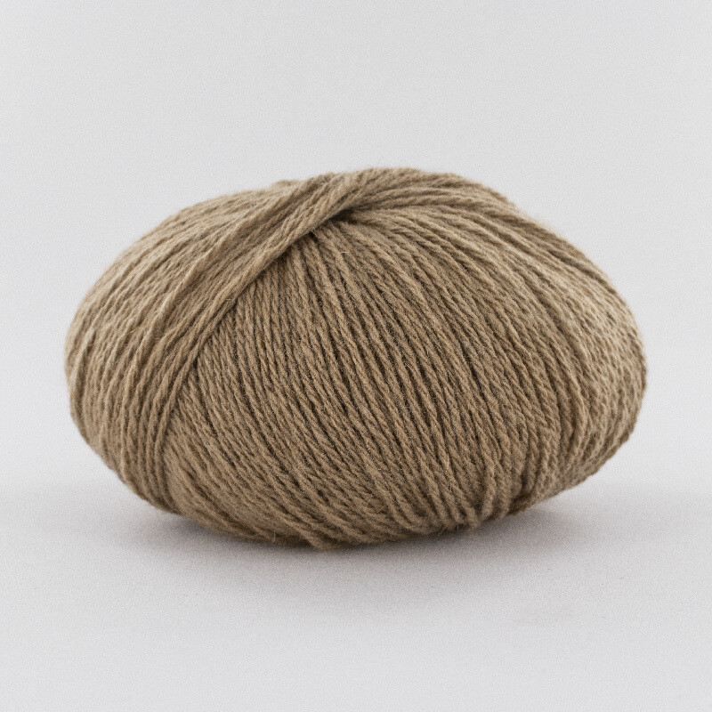 Fonty Camel