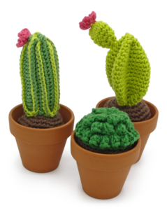 Cactussen