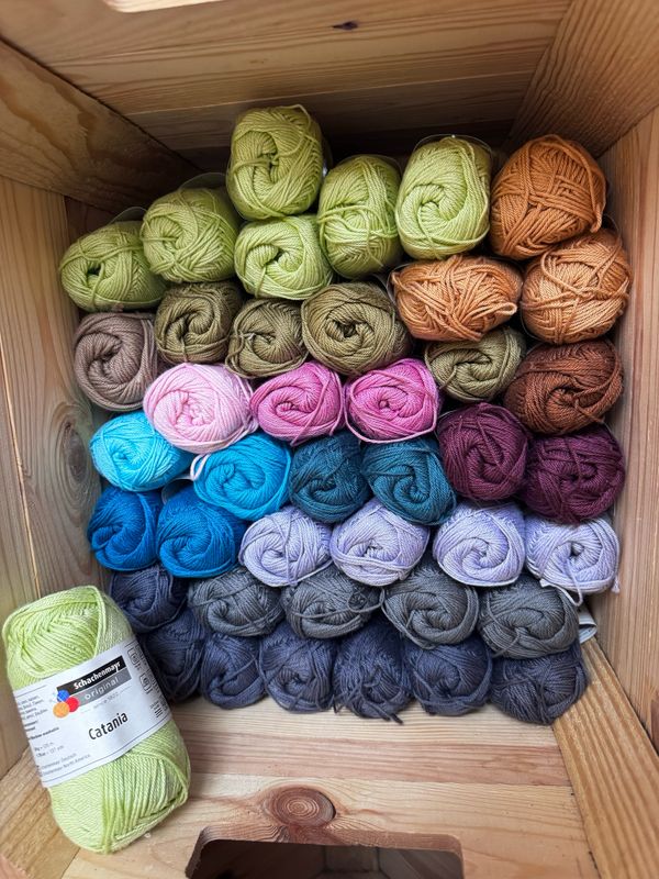     Curated Cotton Palette