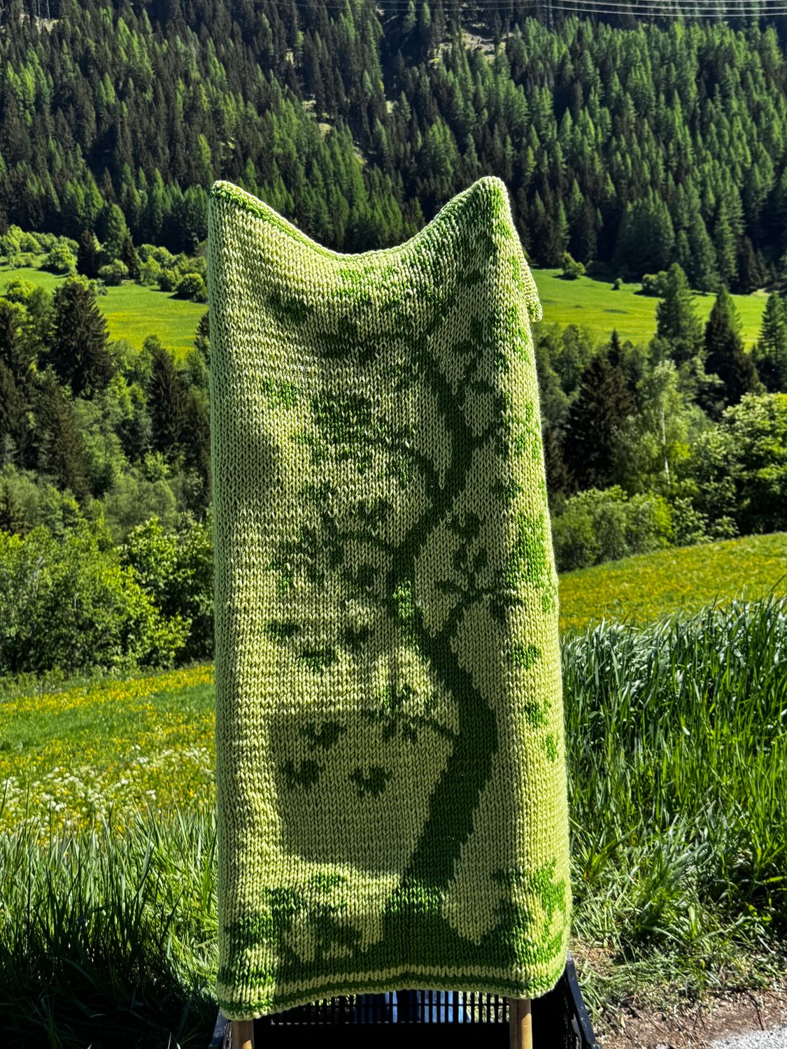 ​Forest Soul Blanket