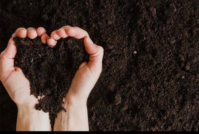 Grow media