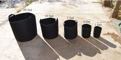Pots