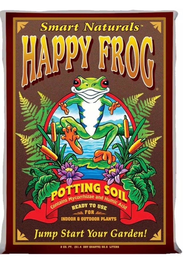 Happy Frog 2cf