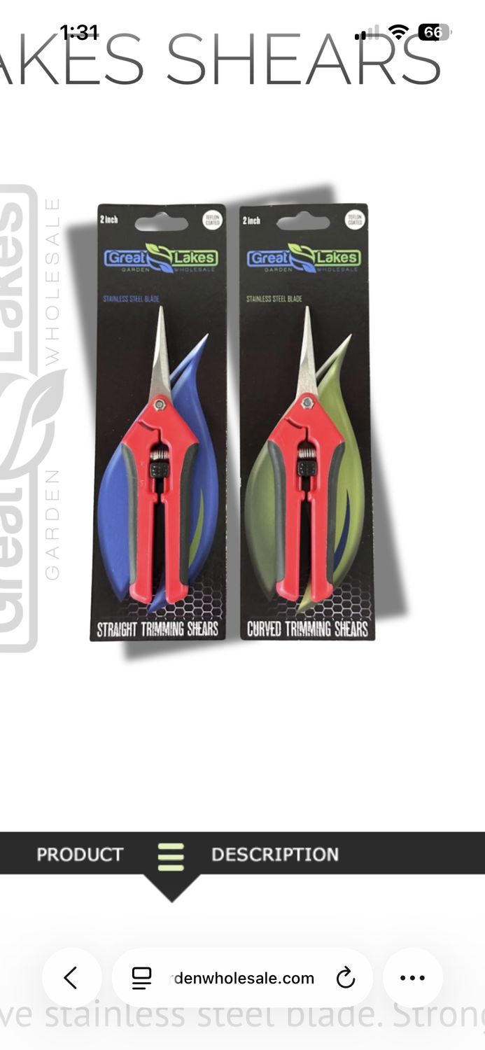 2” curved scissors