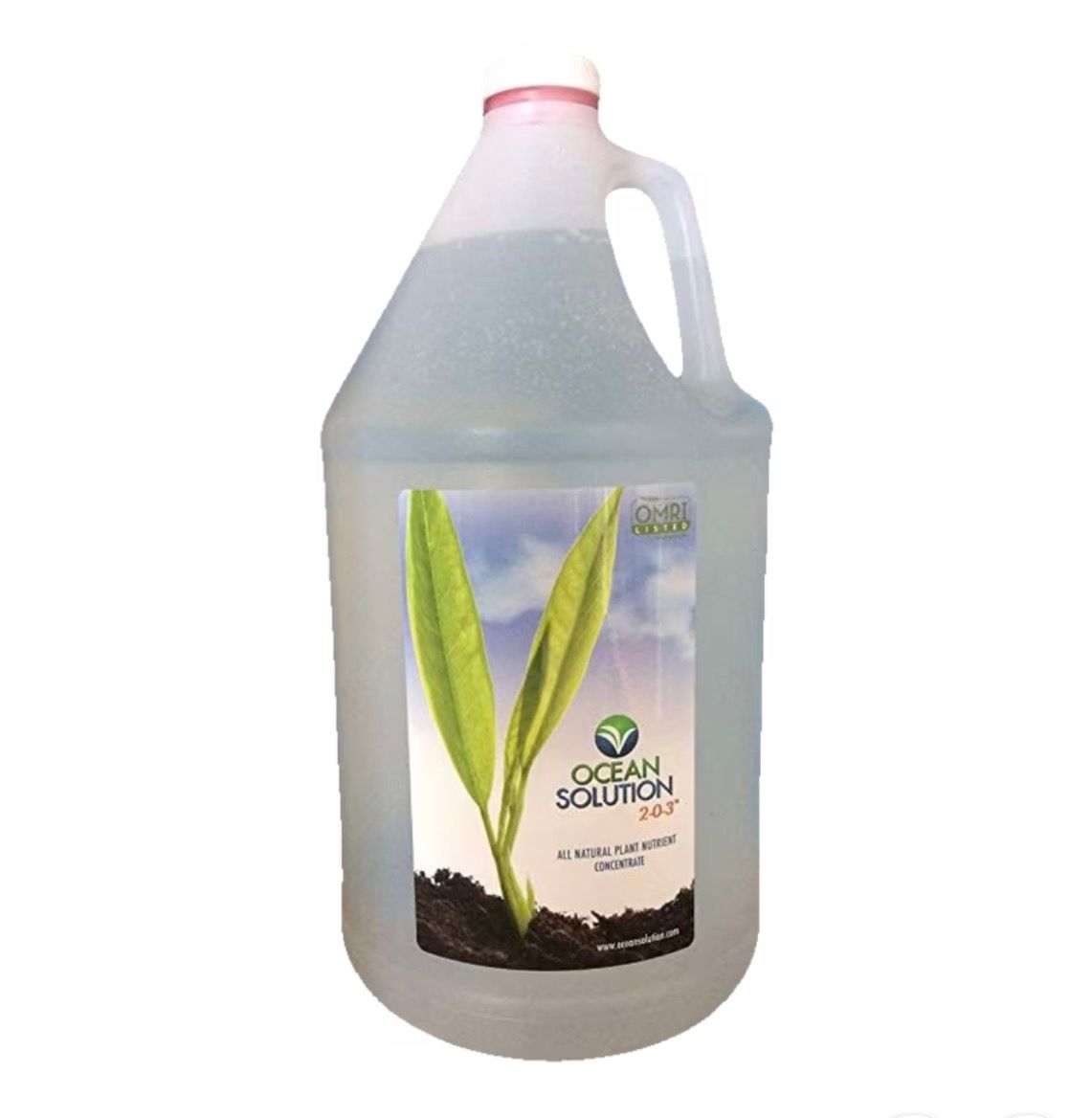 1 Gallon