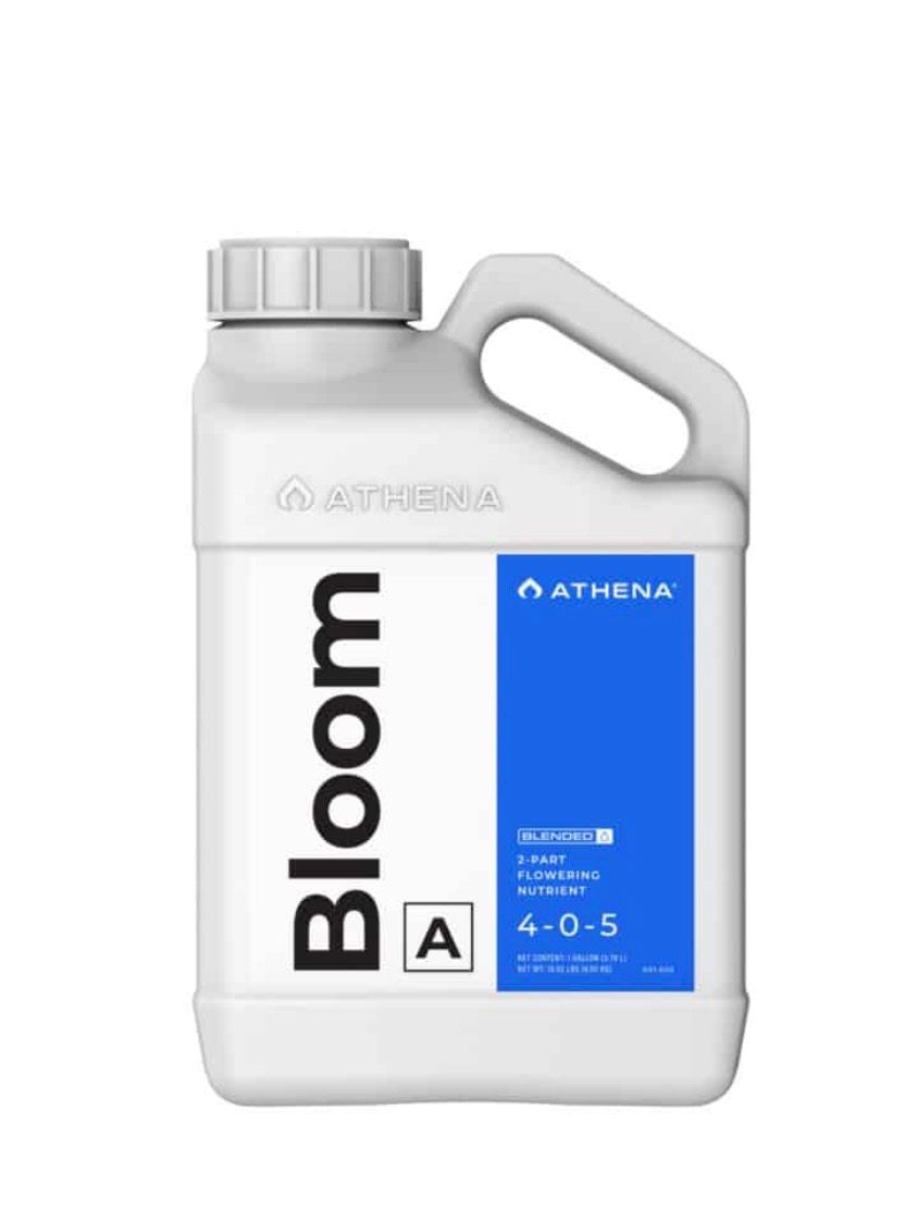 Bloom A 1gal