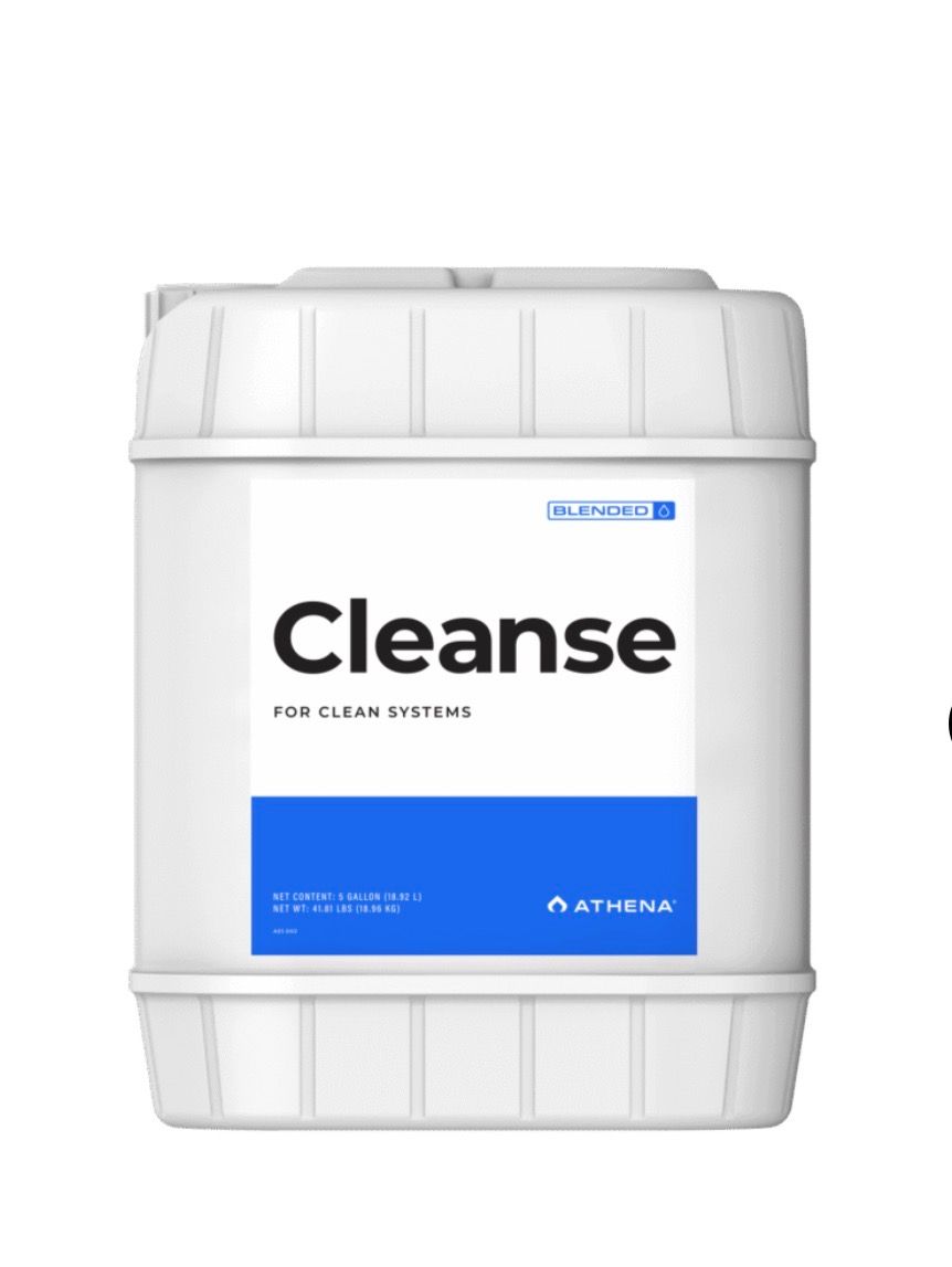 Cleanse 5gal