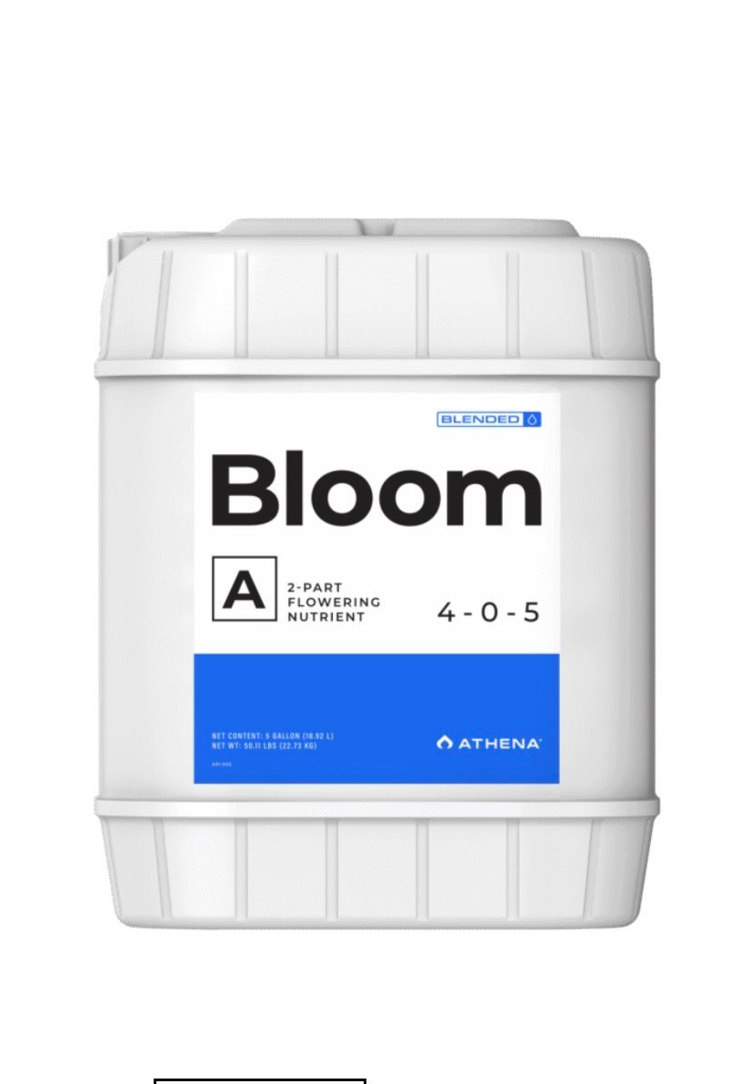 Bloom A 5gal