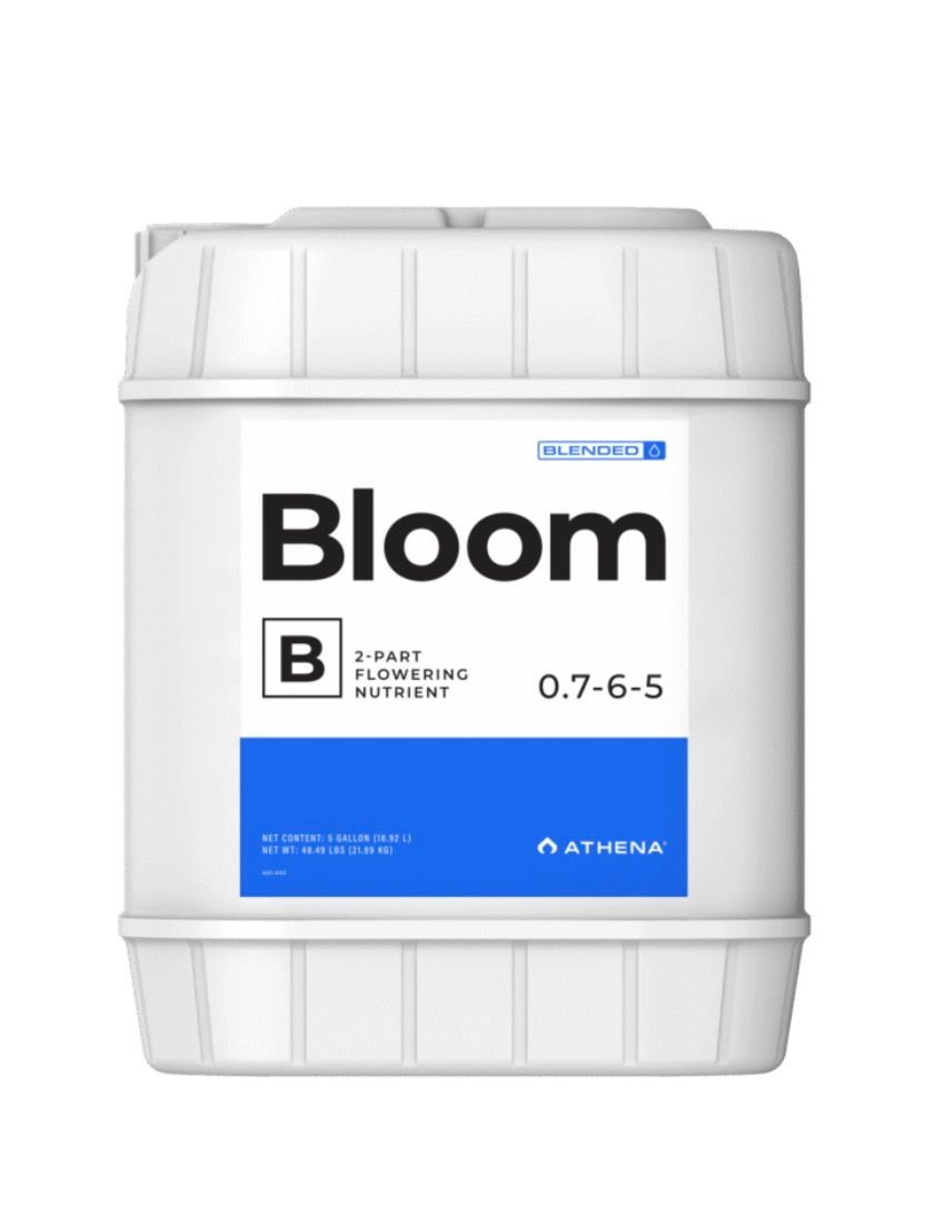 Bloom B 1gal.