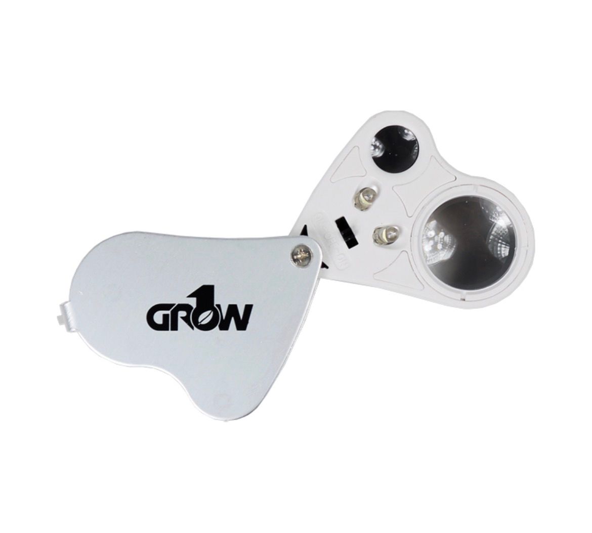 Illuminated double loupe