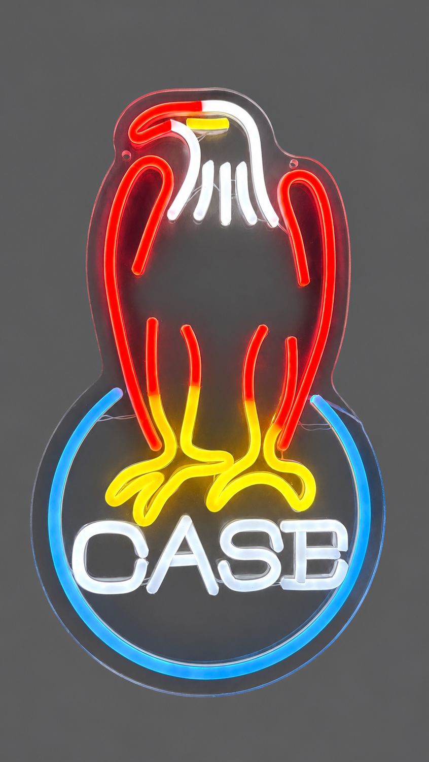 Case Eagle