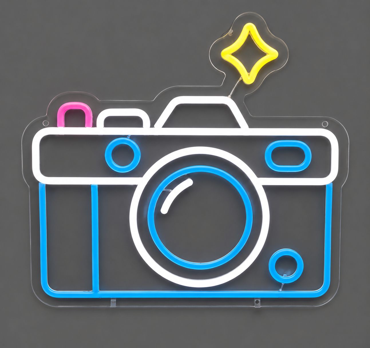 Camera LED Neon Sign