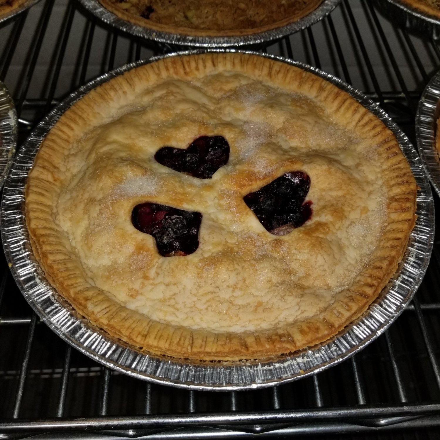 Saskatoon-Rhubarb Pie