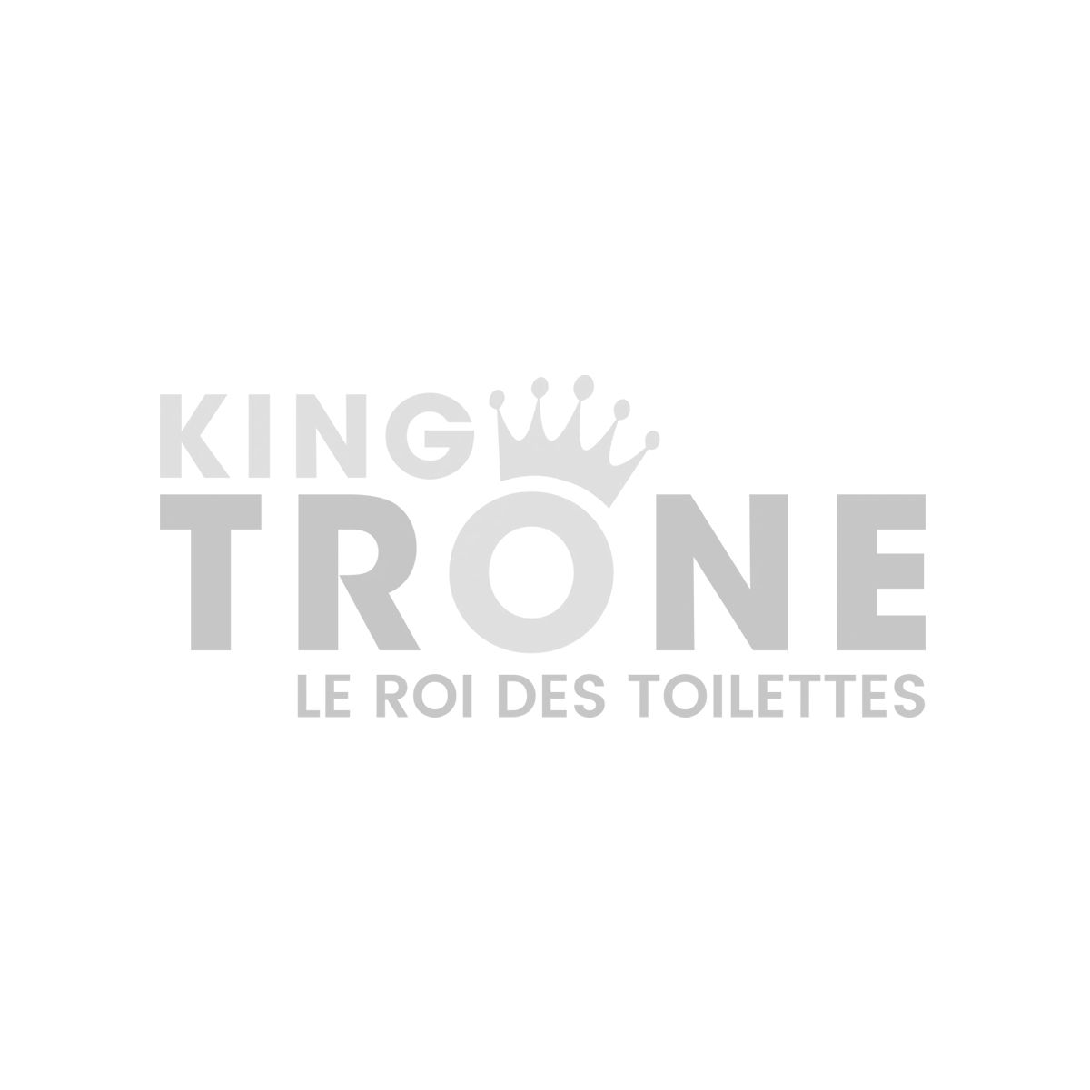 Container sanitaire 10' (1 WC & 1 douche) Container sanitaire 10' (1 WC & 1 douche)