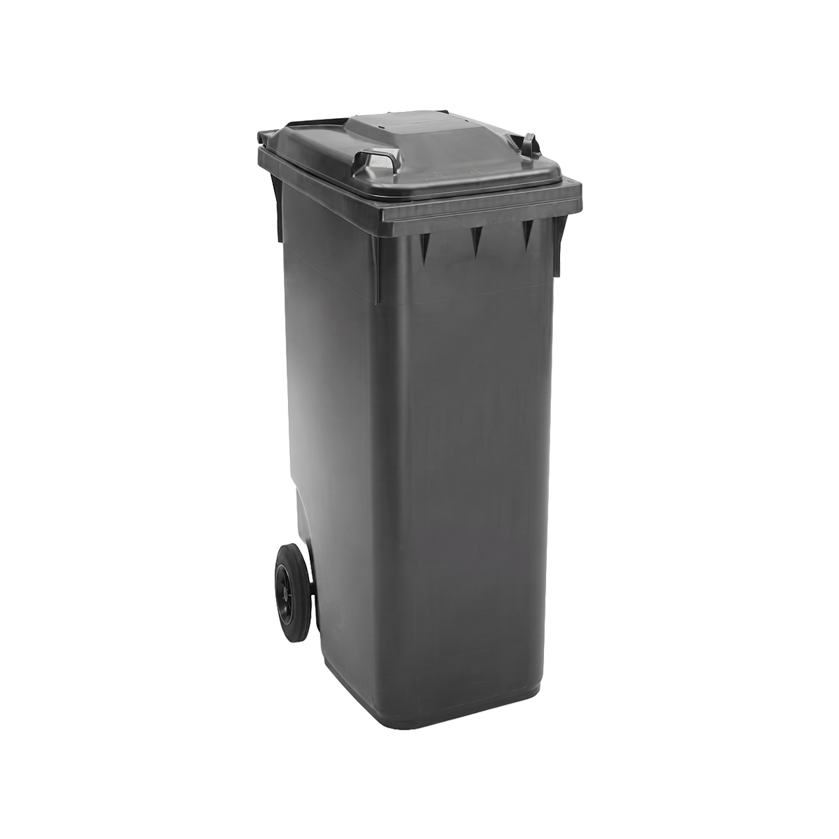 Conteneur à déchets 120 L