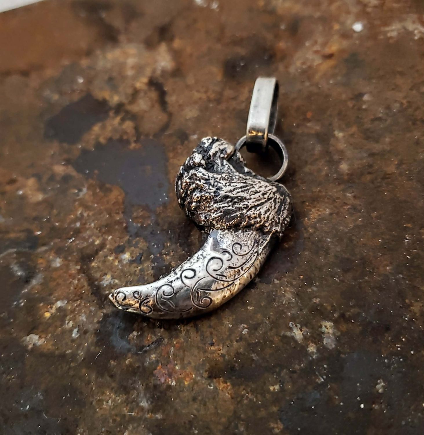 Bear Claw Pendant Bear Claw Pendant