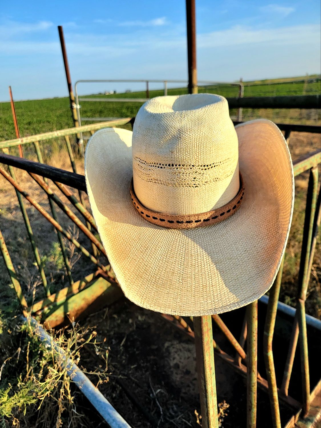 The Cowboy Hatband The Cowboy Hatband