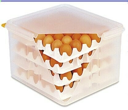 Eieren bewaar box van PE HACCP