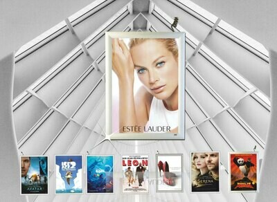 Light Boxes and Illuminated LED Displays.