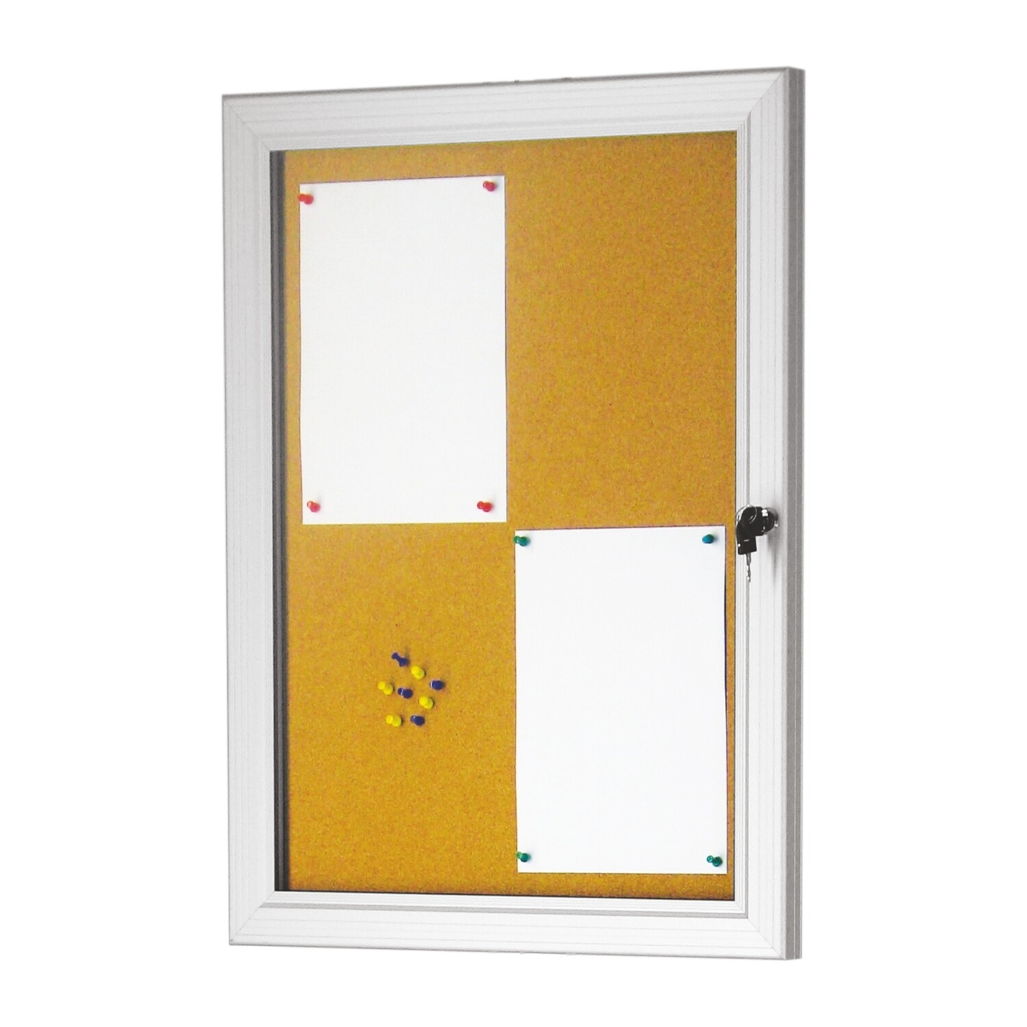 Menukast of Informatiekast Magnetisch met LED verlichting