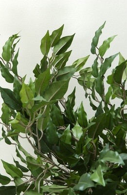 Silk plants to decorate your business or store.