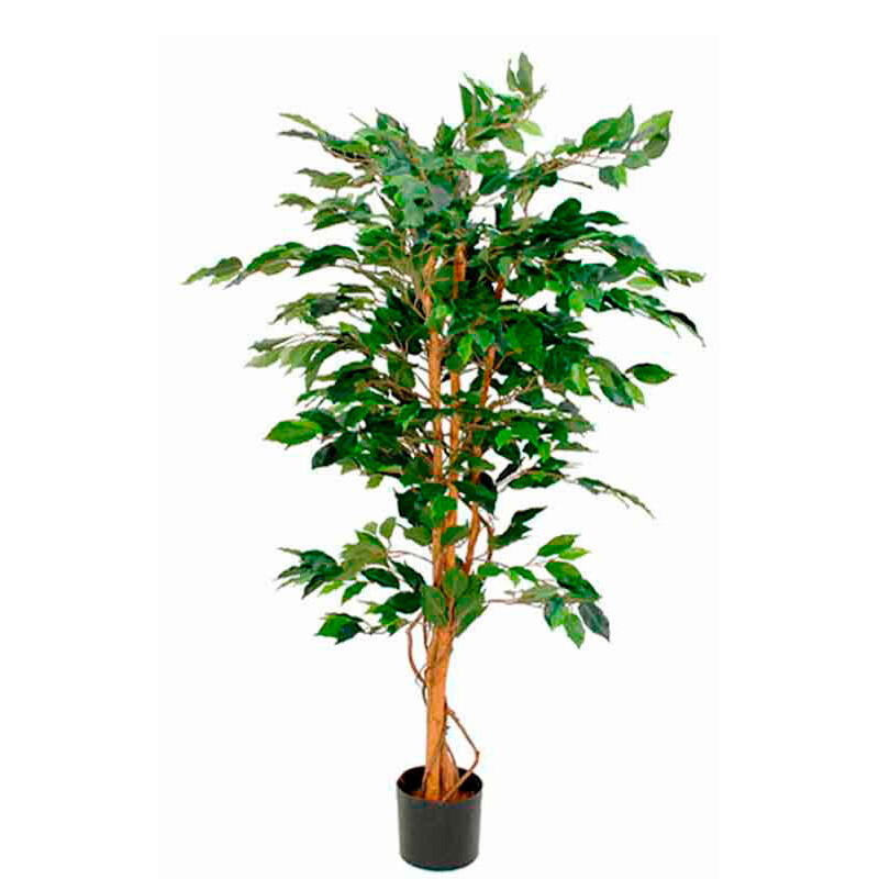 FICUS BENJAMINA 150CM EXCL. ANIMAL POT