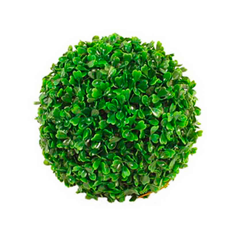 Green boxwood ball of approximately 40 cm diameter.