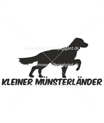 Foliemærke - Kleiner Münsterländer