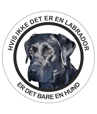 Klistermærke - Labrador - Sort