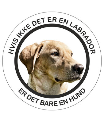 Klistermærke - Labrador - Gul