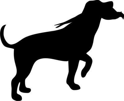 Foliemærke - Labrador med fasan i mund