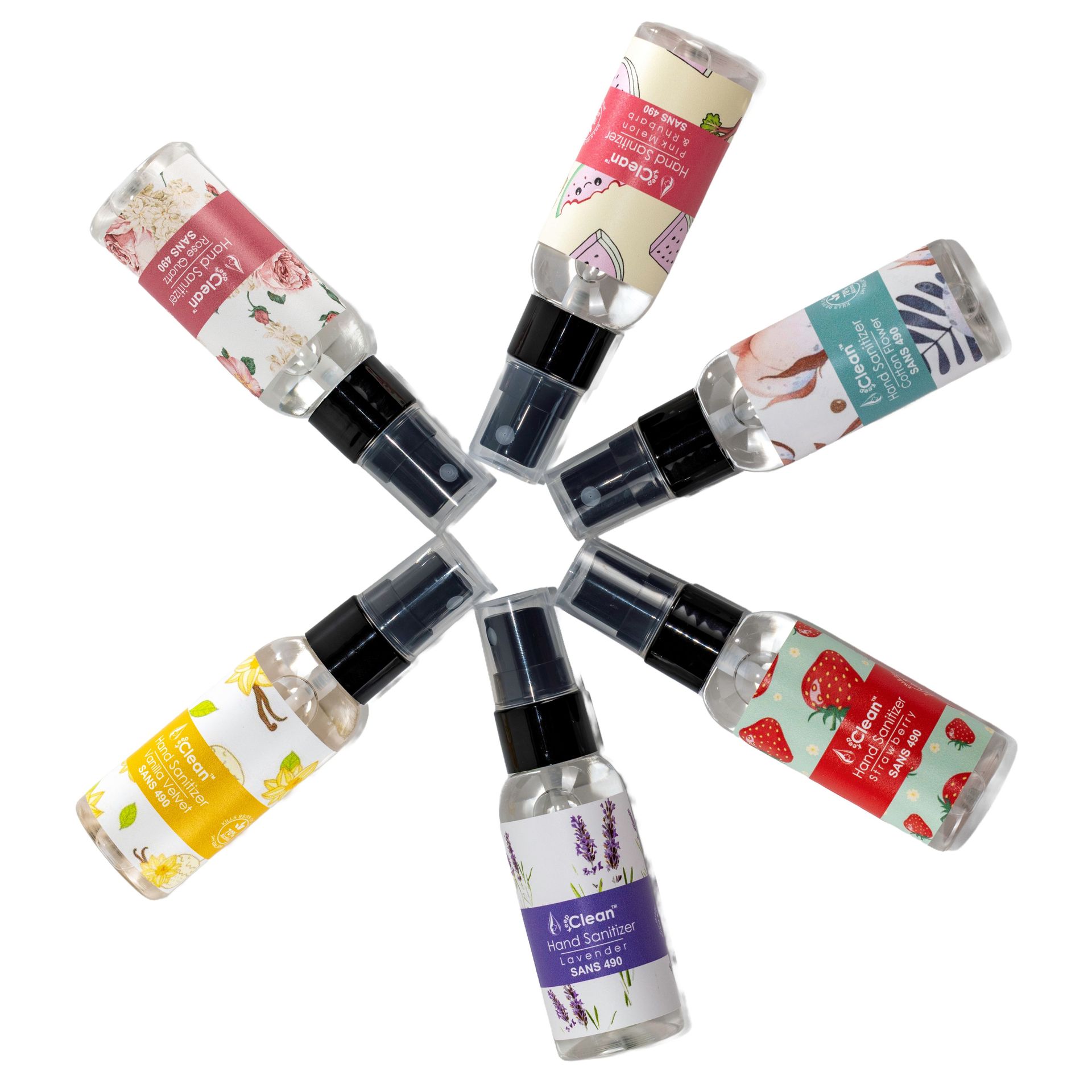Hand Sanitizer Pack x6