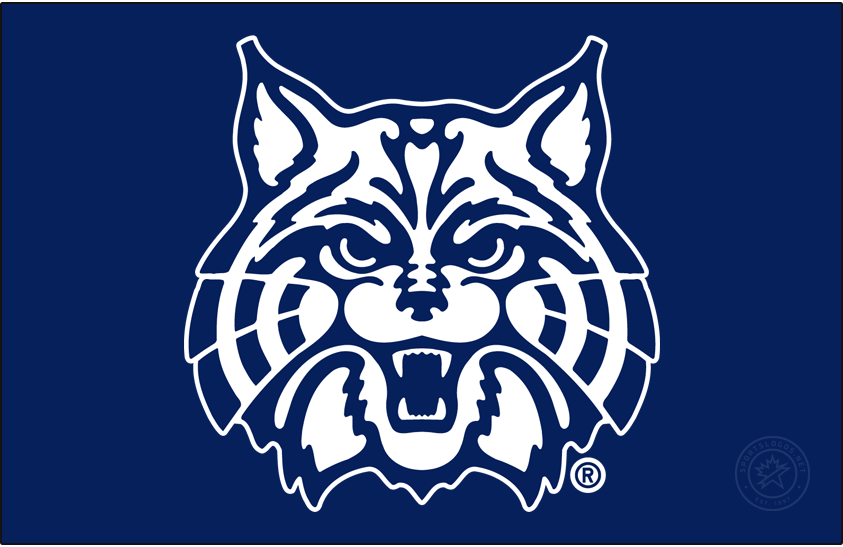 The Wildcat - For the Reasonably Committed Tailgater