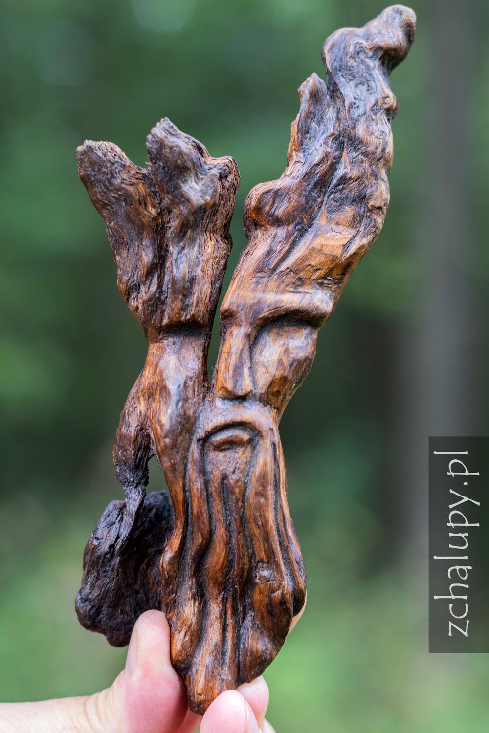 Opiekun Starych Drzew — rzeźba z drewna