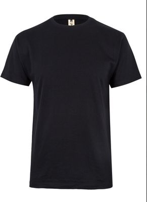 CAMISETA  PALM