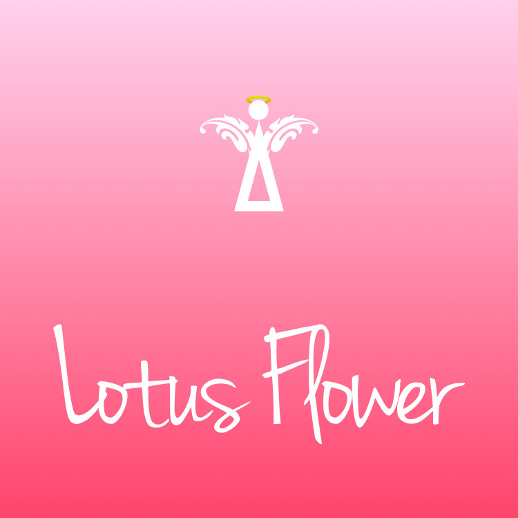 LOTUS FLOWER