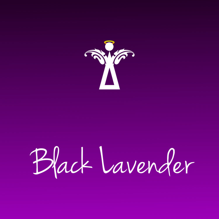 BLACK LAVENDER