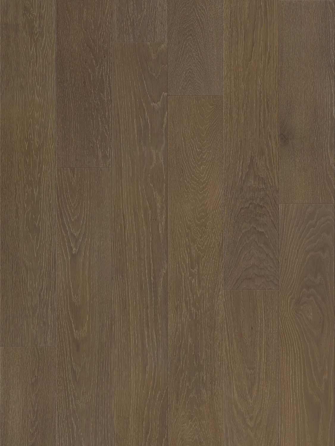 Engineered Hardwood - Morrisville