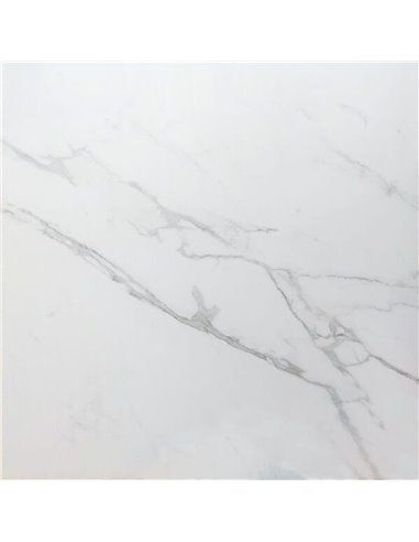 Elina Snow, Polished