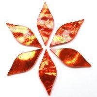 Mirror Petals - Orange