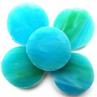 Stained Glass Circles, Parrotfish